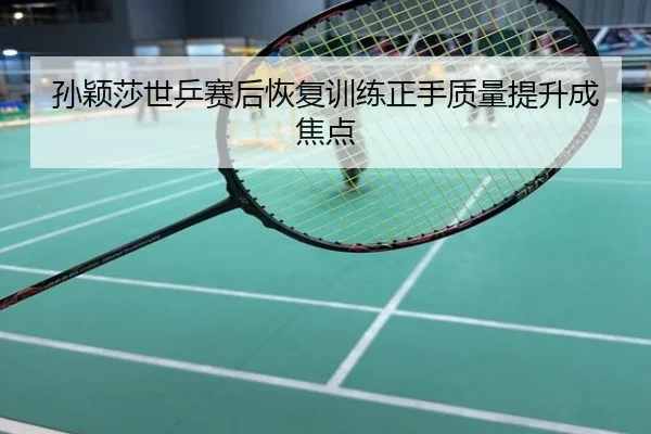 孙颖莎世乒赛后恢复训练正手质量提升成焦点
