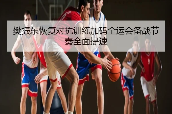 樊振东恢复对抗训练加码全运会备战节奏全面提速